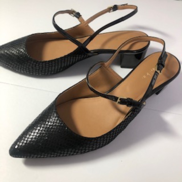 Shoes - Calvin Klein Georgette Dress Black Pump
